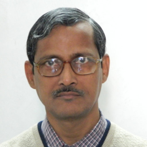 Prof. (Dr.) Saibal Ray